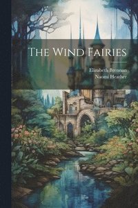 bokomslag Wind Fairies