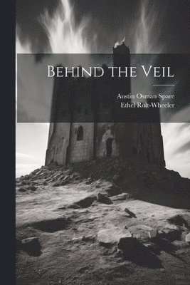 bokomslag Behind the Veil