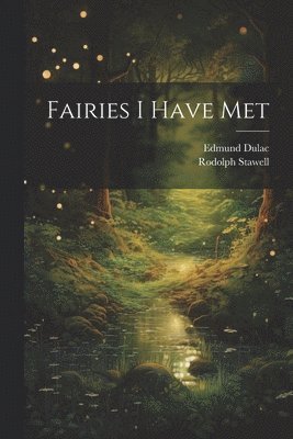 bokomslag Fairies I Have Met