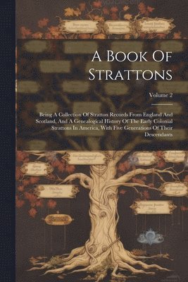 bokomslag A Book Of Strattons