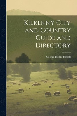 bokomslag Kilkenny City and Country Guide and Directory