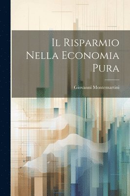 bokomslag Il Risparmio Nella Economia Pura