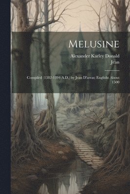 bokomslag Melusine