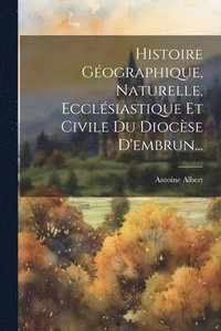 bokomslag Histoire Gographique, Naturelle, Ecclsiastique Et Civile Du Diocse D'embrun...