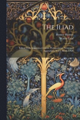 bokomslag The Iliad