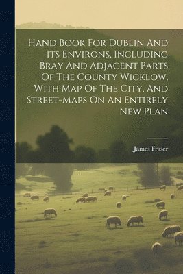 bokomslag Hand Book For Dublin And Its Environs, Including Bray And Adjacent Parts Of The County Wicklow, With Map Of The City, And Street-maps On An Entirely New Plan