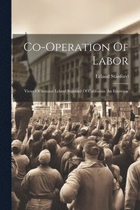 bokomslag Co-operation Of Labor