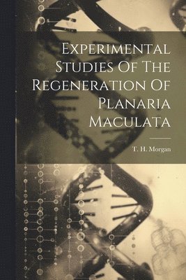 Experimental Studies Of The Regeneration Of Planaria Maculata 1