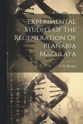 T H Morgan, T. H. Morgan - Experimental Studies Of The Regeneration Of Planaria Maculata, Häftad