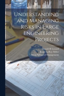 bokomslag Understanding and Managing Risks in Large Engineering Projects