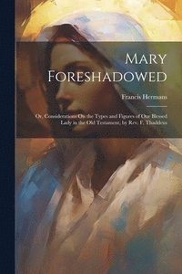 bokomslag Mary Foreshadowed