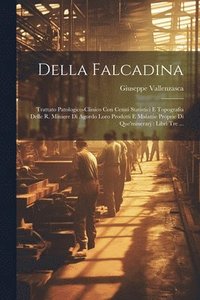bokomslag Della Falcadina