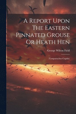 bokomslag A Report Upon The Eastern Pinnated Grouse Or Heath Hen