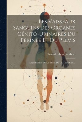 bokomslag Les Vaisseaux Sanguins Des Organes Gnito-urinaires Du Prine Et Du Pelvis