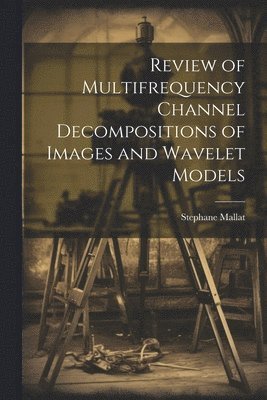 bokomslag Review of Multifrequency Channel Decompositions of Images and Wavelet Models