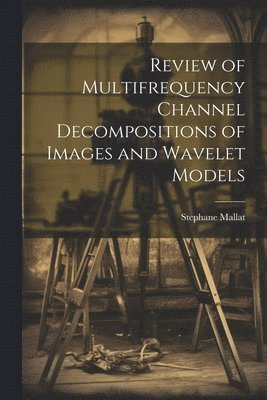 bokomslag Review of Multifrequency Channel Decompositions of Images and Wavelet Models