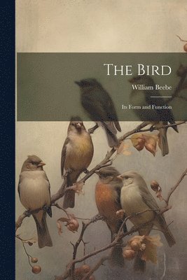 William Beebe - Bird; its Form and Function, Häftad