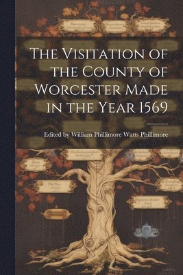 bokomslag The Visitation of the County of Worcester Made in the Year 1569