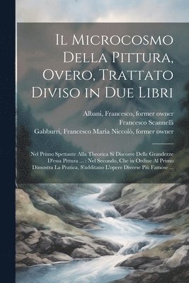 bokomslag microcosmo della pittura, overo, Trattato diviso in due libri
