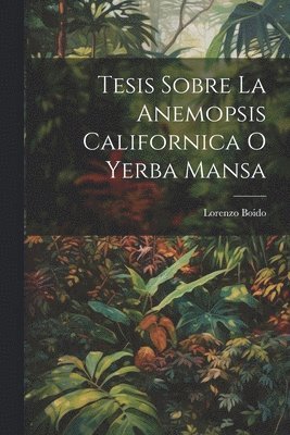 Tesis Sobre La Anemopsis Californica O Yerba Mansa 1