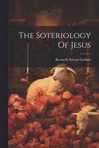 bokomslag The Soteriology Of Jesus