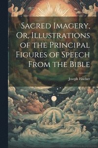 bokomslag Sacred Imagery, Or, Illustrations of the Principal Figures of Speech From the Bible