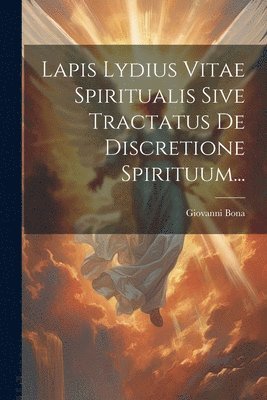 bokomslag Lapis Lydius Vitae Spiritualis Sive Tractatus De Discretione Spirituum...