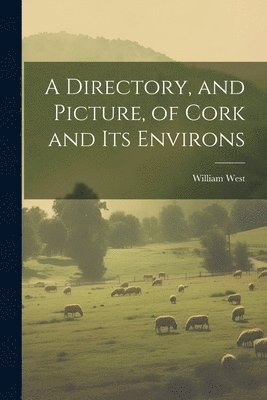 bokomslag Directory, and Picture, of Cork and Its Environs