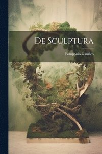 bokomslag De Sculptura