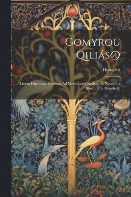 bokomslag Gomyrou Qiliás@