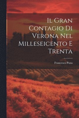 bokomslag Il Gran Contagio Di Verona Nel Milleseicento E Trenta