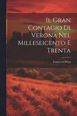 bokomslag Il Gran Contagio Di Verona Nel Milleseicento E Trenta