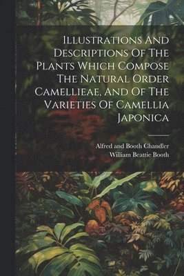 Alfred and Booth Chandler (William-Be, William Beattie Booth - Illustrations And Descriptions Of The Plants Which Compose The Natural Order Camellieae, And Of The Varieties Of Camellia Japonica, Häftad