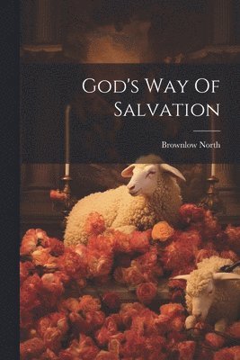 bokomslag God's Way Of Salvation