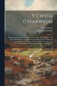 bokomslag Y Cwtta Cyfarwydd