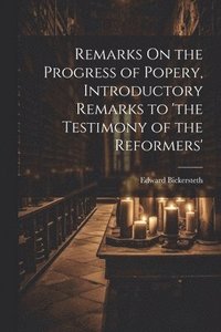 bokomslag Remarks On the Progress of Popery, Introductory Remarks to 'the Testimony of the Reformers'