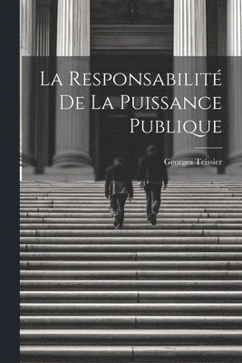 bokomslag La Responsabilit De La Puissance Publique