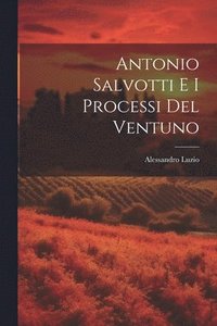 bokomslag Antonio Salvotti E I Processi Del Ventuno