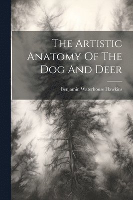 The Artistic Anatomy Of The Dog And Deer 1