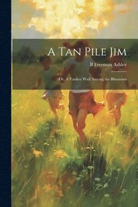 bokomslag tan Pile Jim; or, A Yankee Waif Among the Bluenoses