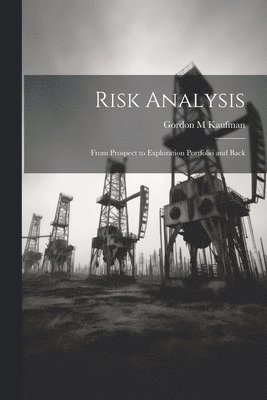 bokomslag Risk Analysis