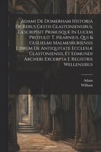 bokomslag Adami De Domerham Historia De Rebus Gestis Glastoniensibus, Descripisit Primusque In Lucem Protulit T. Hearnius. Qui & Guilielmi Malmesburiensis Librum De Antiquitate Ecclesi Glastoniensis, Et