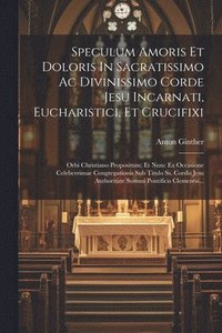 bokomslag Speculum Amoris Et Doloris In Sacratissimo Ac Divinissimo Corde Jesu Incarnati, Eucharistici, Et Crucifixi