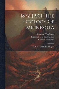 bokomslag 1872-[1901] The Geology Of Minnesota
