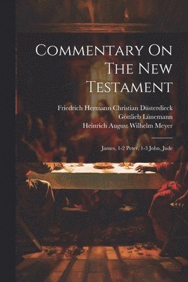 bokomslag Commentary On The New Testament