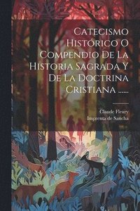 bokomslag Catecismo Histrico O Compendio De La Historia Sagrada Y De La Doctrina Cristiana ......