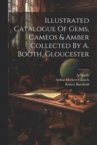 bokomslag Illustrated Catalogue Of Gems, Cameos & Amber Collected By A. Booth, Gloucester