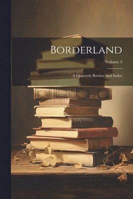 bokomslag Borderland