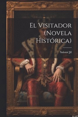 bokomslag Visitador (novela histórica)