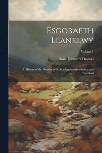 bokomslag Esgobaeth Llanelwy